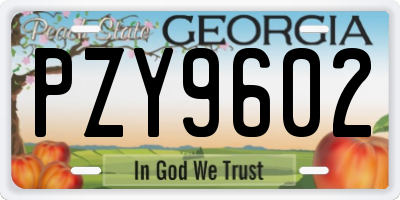 GA license plate PZY9602