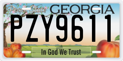 GA license plate PZY9611