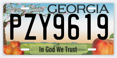 GA license plate PZY9619