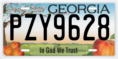 GA license plate PZY9628