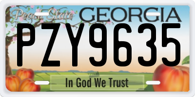 GA license plate PZY9635