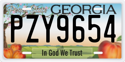 GA license plate PZY9654