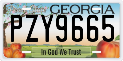 GA license plate PZY9665