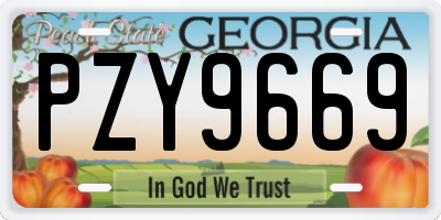 GA license plate PZY9669