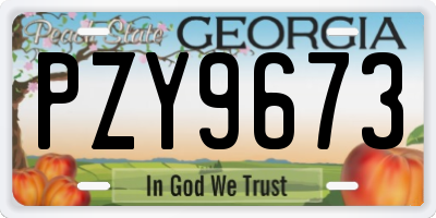 GA license plate PZY9673