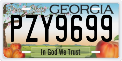 GA license plate PZY9699