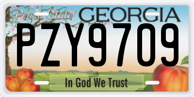 GA license plate PZY9709