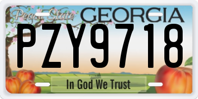 GA license plate PZY9718