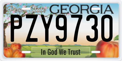 GA license plate PZY9730