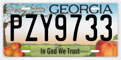 GA license plate PZY9733