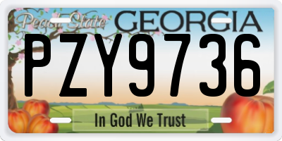 GA license plate PZY9736