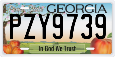GA license plate PZY9739