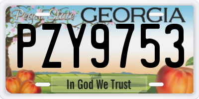 GA license plate PZY9753