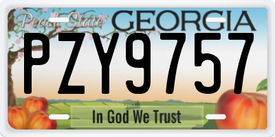 GA license plate PZY9757