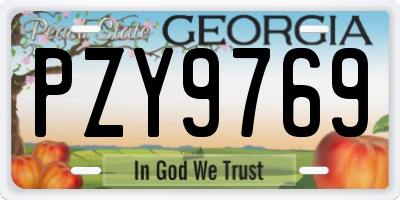 GA license plate PZY9769