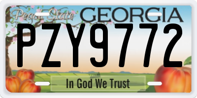 GA license plate PZY9772
