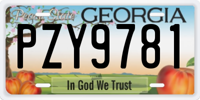 GA license plate PZY9781