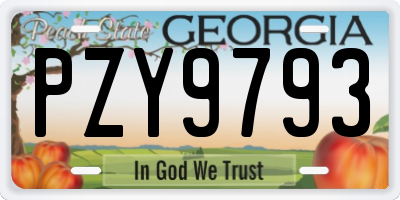 GA license plate PZY9793