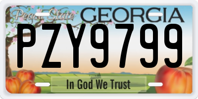 GA license plate PZY9799