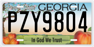 GA license plate PZY9804