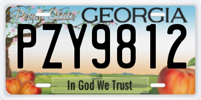 GA license plate PZY9812