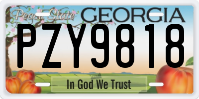 GA license plate PZY9818