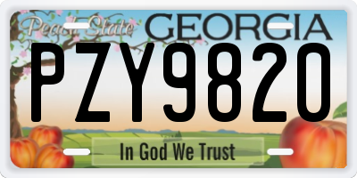 GA license plate PZY9820