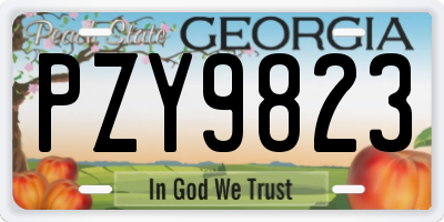 GA license plate PZY9823