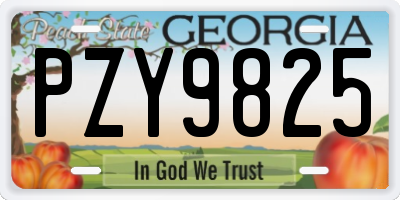 GA license plate PZY9825