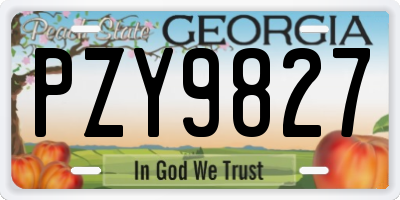 GA license plate PZY9827