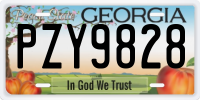 GA license plate PZY9828
