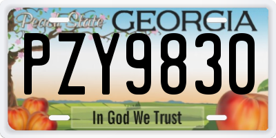 GA license plate PZY9830