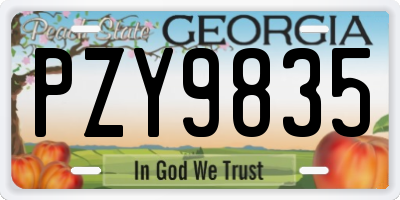 GA license plate PZY9835
