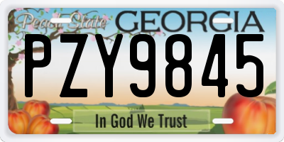 GA license plate PZY9845