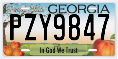 GA license plate PZY9847