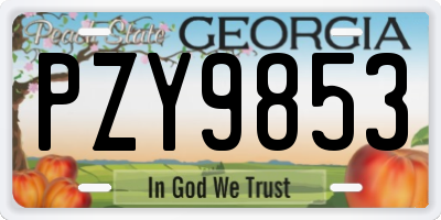 GA license plate PZY9853