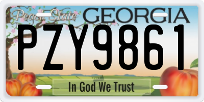 GA license plate PZY9861