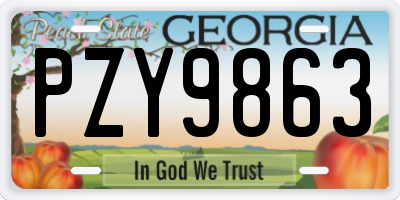 GA license plate PZY9863