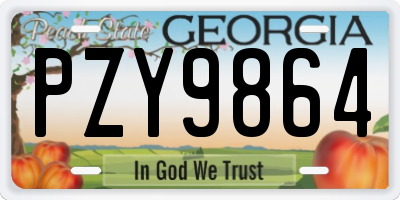 GA license plate PZY9864