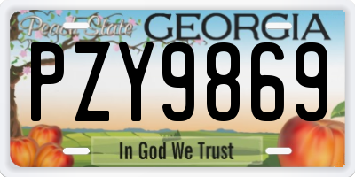 GA license plate PZY9869