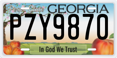 GA license plate PZY9870