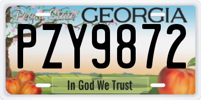 GA license plate PZY9872