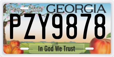 GA license plate PZY9878