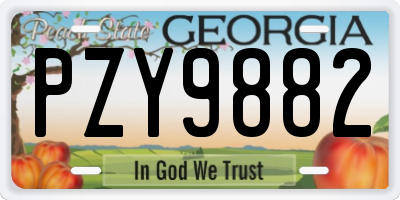 GA license plate PZY9882