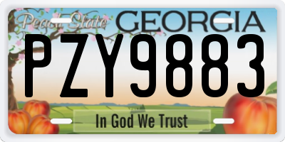 GA license plate PZY9883