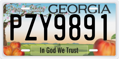 GA license plate PZY9891