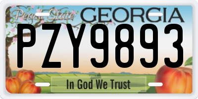 GA license plate PZY9893