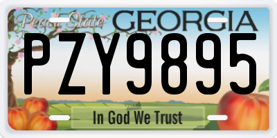 GA license plate PZY9895