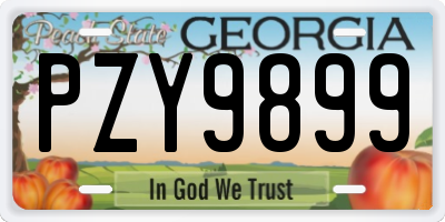 GA license plate PZY9899