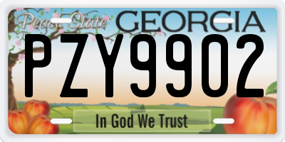 GA license plate PZY9902